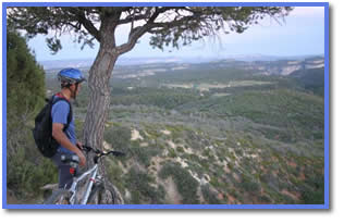 Zion canyon biking