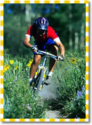 Zion canyon biking